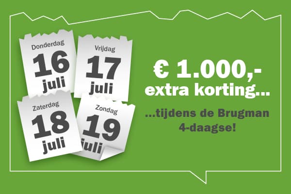 4-daagse